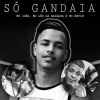 Download track Só Gandaia