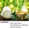 Download track Nature Sounds - Hotel Spa (SPA Jazz Music)