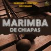 Download track Marimba Oeste 2