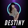 Download track Destiny (Radio Edit)