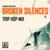 Download track Broken Silences (Continuous DJ Mix)