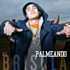 Download track Palmeando