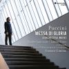 Download track Puccini: Crisantemi. Elegia Per Quartetto D'archi, SC 65