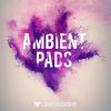 Download track E Major: Ambient Pads