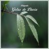 Download track Sonidos De Gotas De LLuvia Para Relajarse, Pt. 25