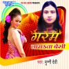 Download track Choli Me Gudgudi