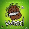 Download track Weed