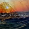 Download track Sonidos De Playa Ambiental Pt. 33