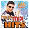 Download track Un Idiota (Mega MixHits)