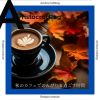 Download track Cozy Autumn Harp Melodies