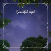 Download track Beautiful Night N° 1