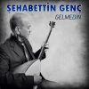 Download track Gelmedin