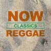 Download track Reggae Got Soul