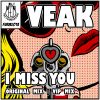 Download track I Miss You (Veak VIP)