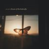 Download track Dream Of The Butterfly