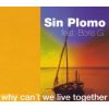 Download track Why Can't We Live Together (Gayhouse Mix)