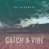 Download track Catch A Vibe