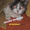 Download track SAVER SHAVED - Loop Number One