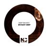 Download track Deviant Deep (Nu Ground Foundation US Garage Instrumental)