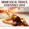 Download track Miami Vocal Trance Essentials (Continuous Mix)