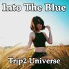 Download track Into The Blue (Long Mix)