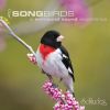 Download track Red - Winged Blackbird