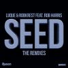 Download track Seed (Diego Kierten & Marcelo Rivera Remix)