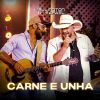 Download track Carne E Unha