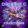 Download track Crazyness