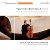 Download track Sonata For Solo Cello, Op. 28: I. Grave