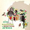 Download track São Tomé Grosbeak