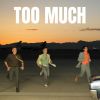 Download track Too Much (Was It Too Much) (Originally Performed By The Kid LAROI & Jung Kook & Central Cee)