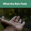 Download track Rain Can Be Light And Happy