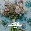 Download track 花海之声 (伴奏版)