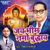 Download track Sab Bhim Ke Kripa Se