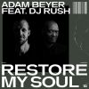 Download track Restore My Soul (DJ Rush Remix)