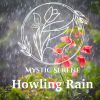 Download track Rainy Howling Wind