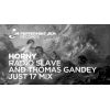 Download track Horny (Radio Slave & Thomas Gandey Just 17 Dub)