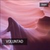 Download track Voluntad