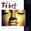 Download track Tears For Tibet