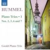 Download track Piano Trio No. 7 In E-Flat Major, Op. 96: I. Allegro Con Spirito