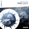 Download track Silent Snow (Radio Edit)