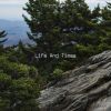 Download track Life And Times