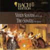 Download track Trio Sonata In G Major BWV 1038 - II Vivace