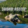 Download track Wyoming Deep Forest Lake Soundscape, Pt. 17