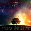 Download track Tree Of Life