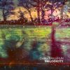 Download track Melodicity, Pt. 2