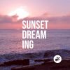 Download track Dreaming On The Sun