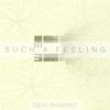 Download track Such A Feeling (Radio Edit)