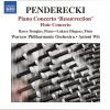 Download track Concerto For Flute And Chamber Orchestra - Vivo